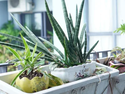 LeeHomestay District 7 - Quận 7 Hồ Chí Minh – Photos 11